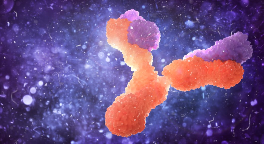 رویکردی با قابلیت مقابله با رد پیوند